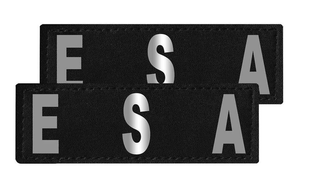 Removable Patches (2 Per Pack) - 2 x 6" ESA