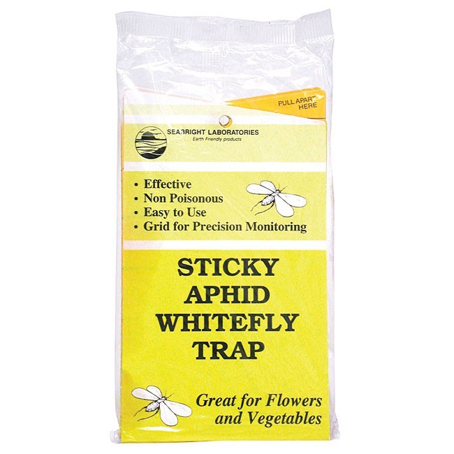 Yellow Sticky Aphid Whitefly Trap Pack 5