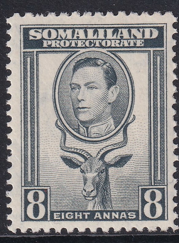 SOMALILAND PROTECTORATE SG99, 8a grey, MNH