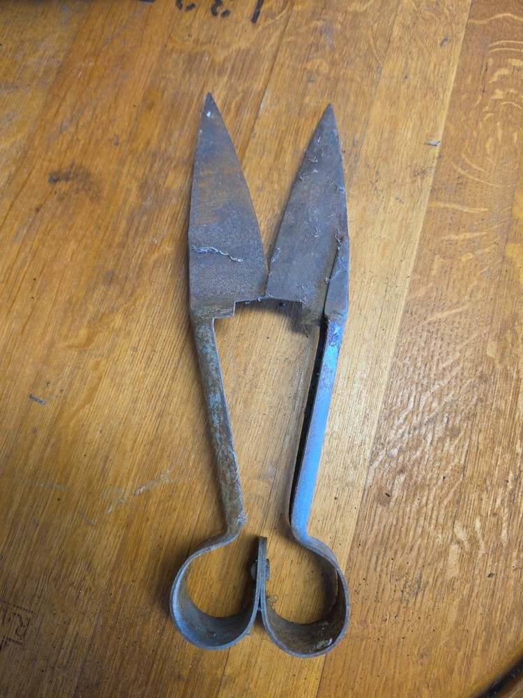 #5294 Vintage 13" SHEEP LLAMA SHEARS HAND SCISSORS TOOL.