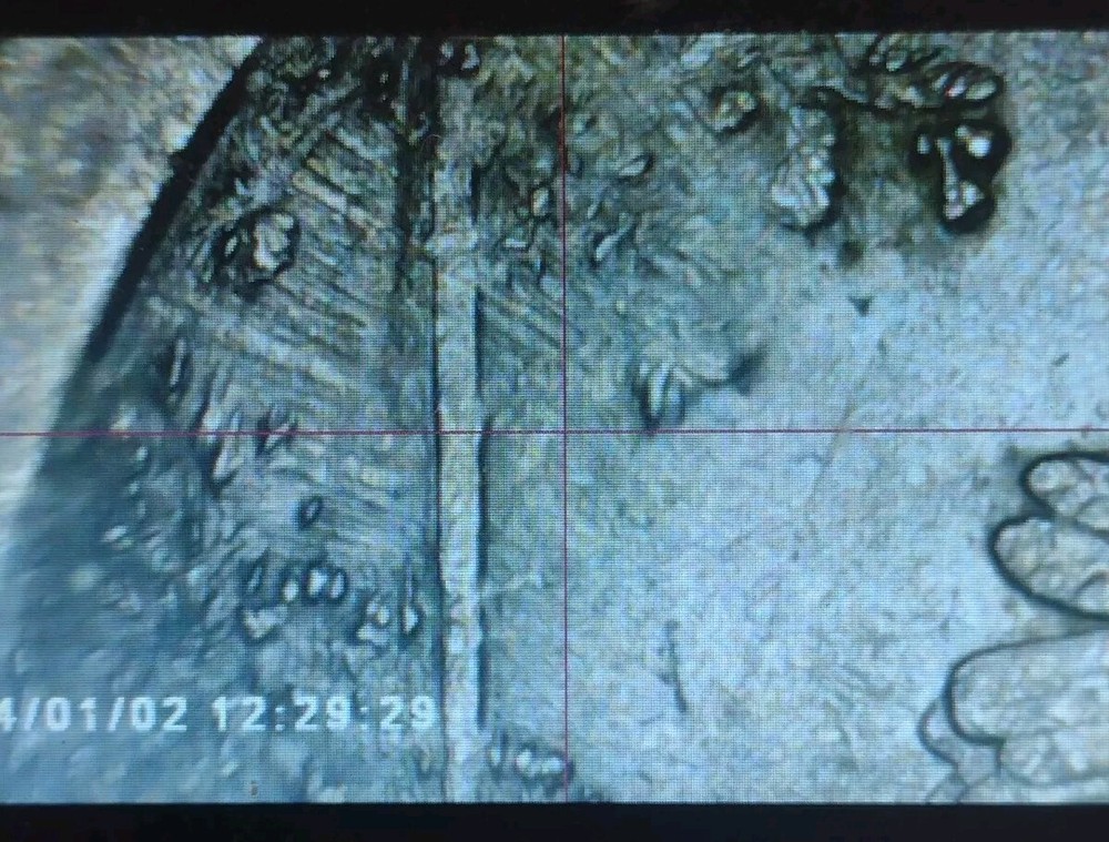 2015 Kisatchie Quarter Strike Thru Error