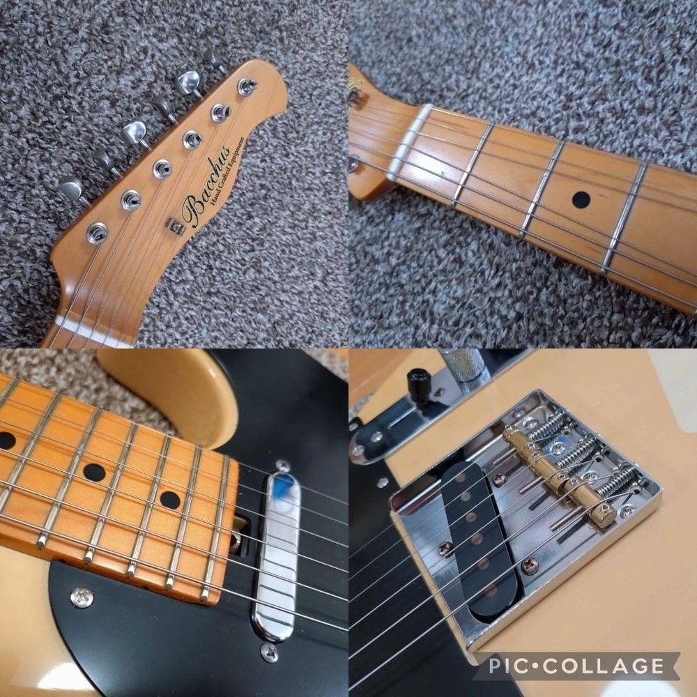 Bacchus Telecaster Type BTL-650? Electric Guitar