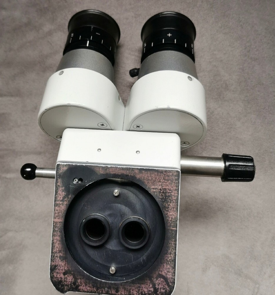 KAPS microscope Binocular observation head Equipped with eyepiece