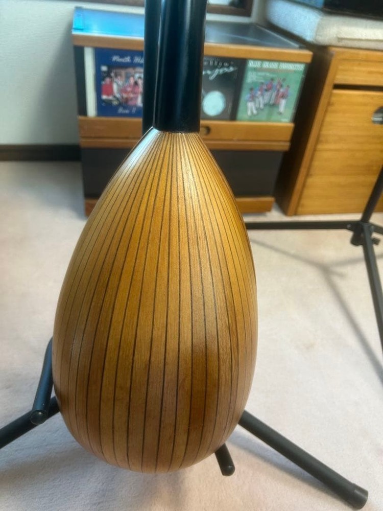 wooden 8 string mandolin