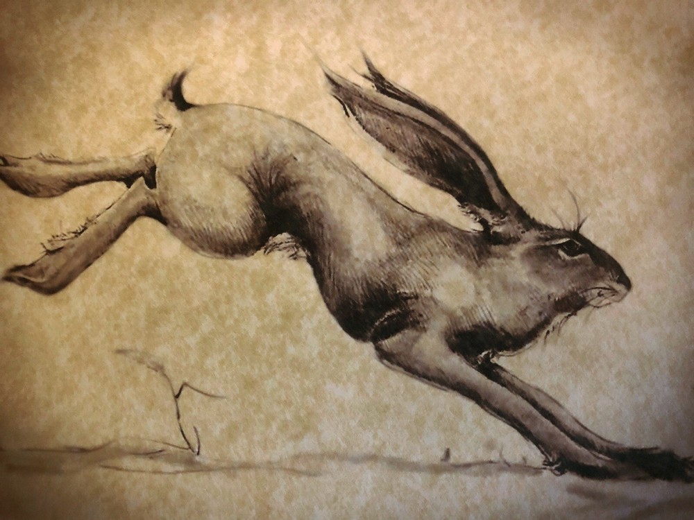 "Running Hare" Vintage Ltd  Edition Drawing Print on Parchment Numbered & Signed