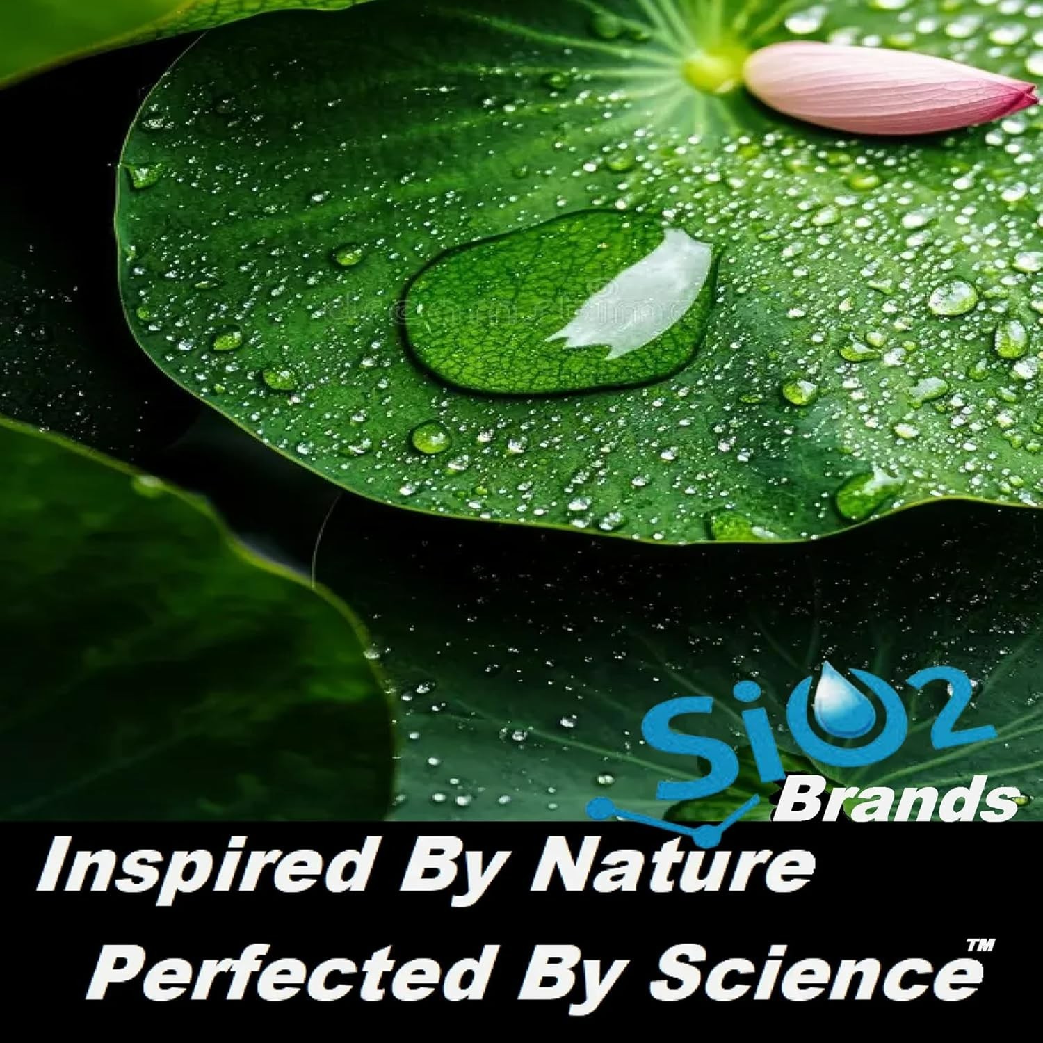 ANTI-GRAFFITI CLEAR COATING CERAMIC SHIELD PERMANENT PROTECTION - 0NE GALLON