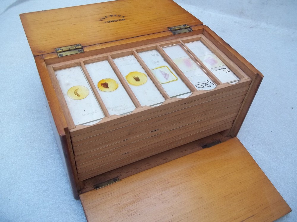 Vintage Glass Microscope Slides