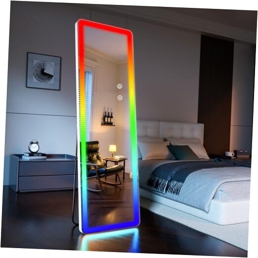 LED Full Length Mirror, 63"x20" Full Length 63"L x 20"W Rgb Mirror-rectangular