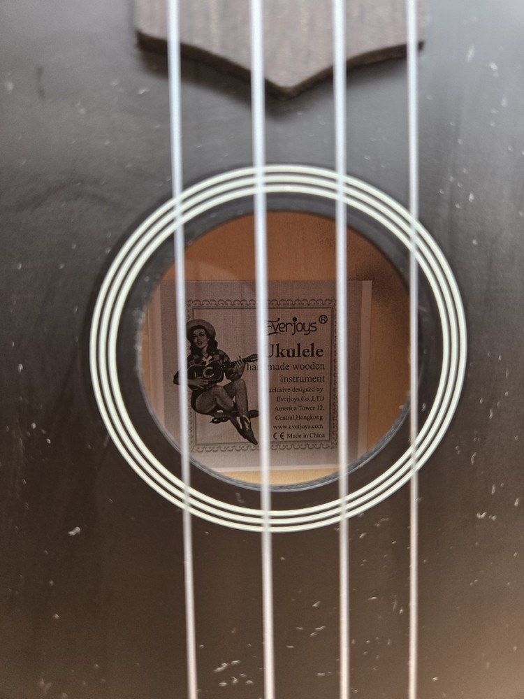 Everjoys Beginner Handmade Hawaiian Ukulele Starter Kit.