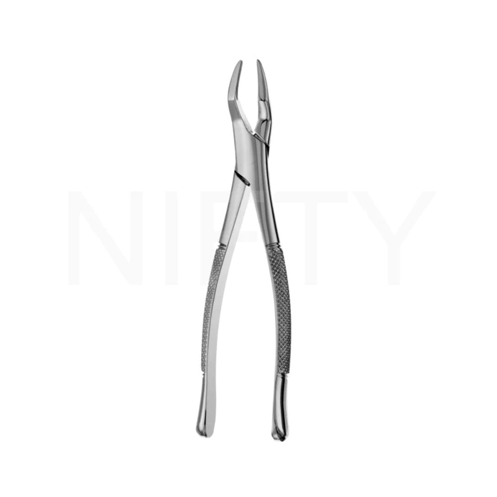 Extracting Forcep American Pattern Roots #65