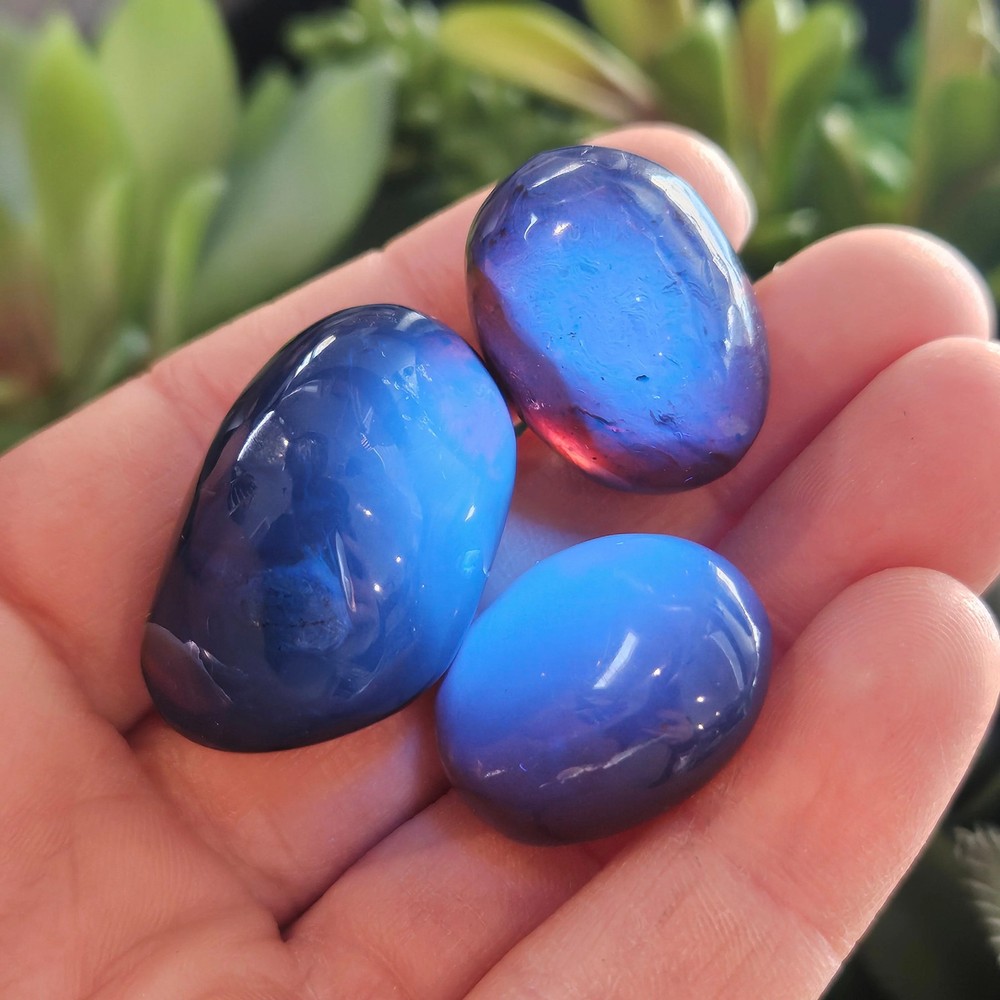 Blue Amber Specimen, Polished Amber from Indonesia