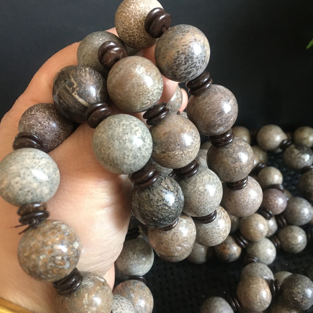 1pc Natural polished dinosaur bone bracelets