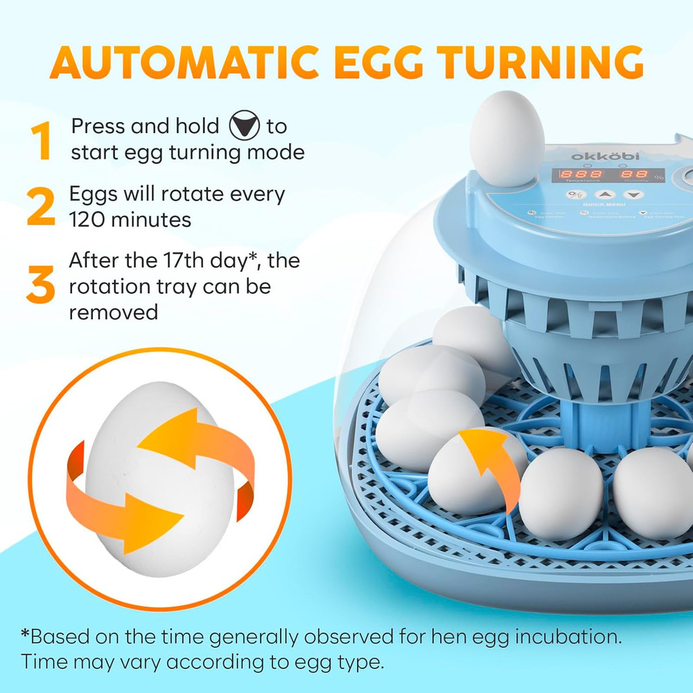 12-Egg Automatic Incubator with Humidity Control and 360° Viewing Window