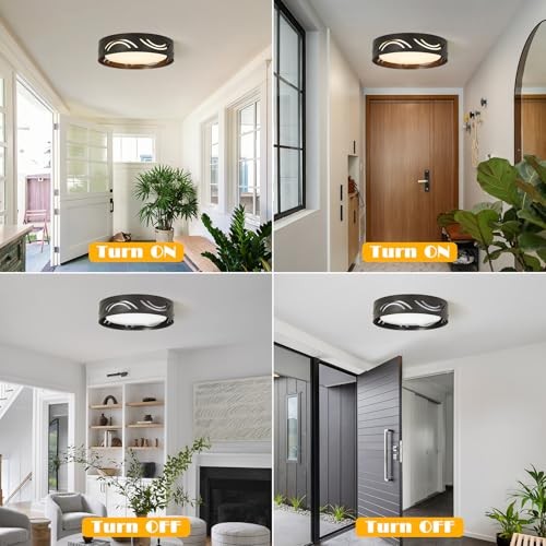 Modern Dimmable LED Ceiling Light Fixture with Remote general purpose Black