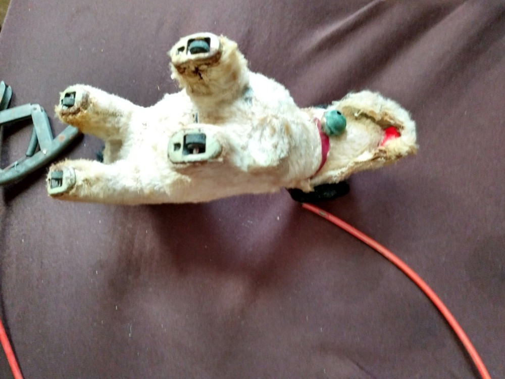 VINTAGE PULL DOG TOY