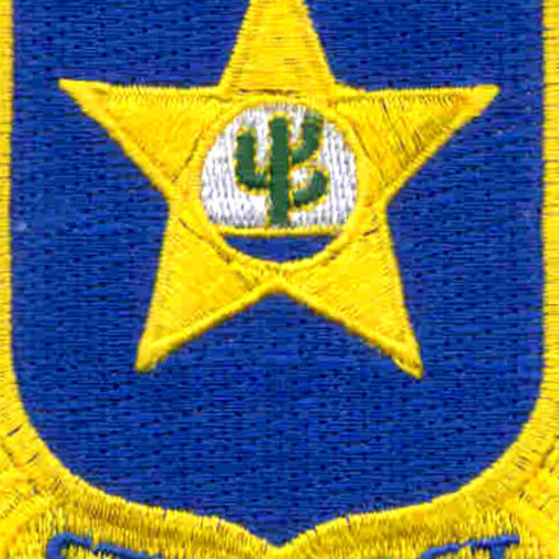 409th Infantry Regiment Patch