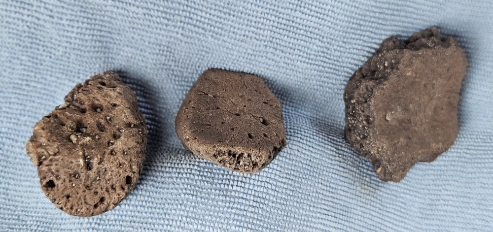 3 Authentic Florida Peace River Glyptodont Osteoderms (Scutes) Fossils 1.75-2"