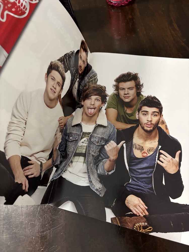 One Direction Where We Are Tour 12" X 12" Large Program 2014