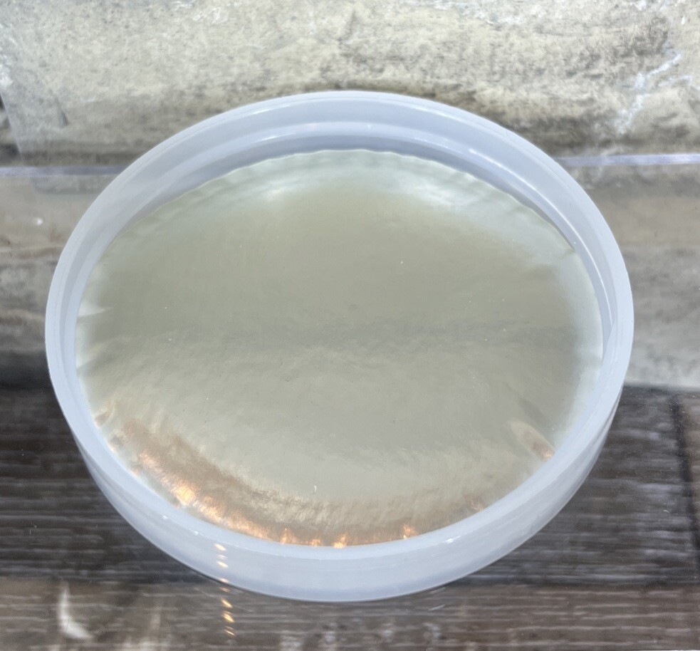 945 Count 70/400 70-400 Continuous Thread Polypropylene Smooth Caps Lids Natural