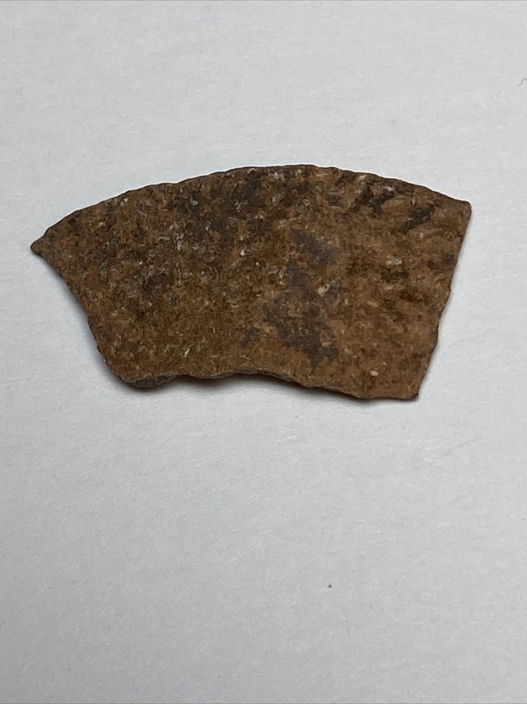 Theropod Tooth/eggshell/vertebrae