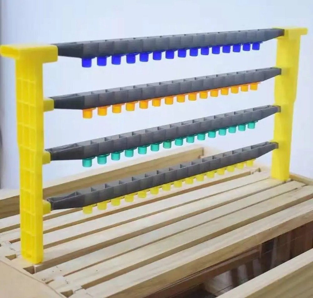 Beehive queen Rearing kit