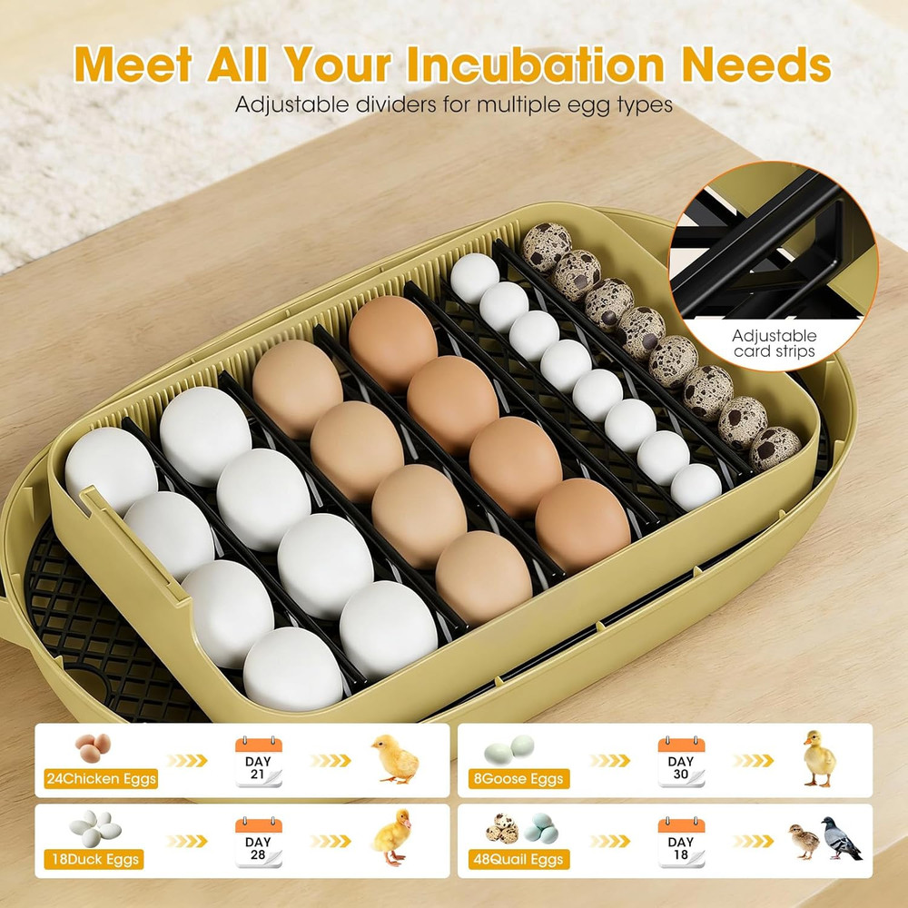 24 Egg Incubator for Hatching Eggs, Automatic Egg Turning, Temperature & Humidit