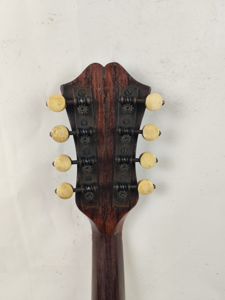 Mandolin 4/4 Strident 1930 Naples 曼陀林 만돌린マンドリン