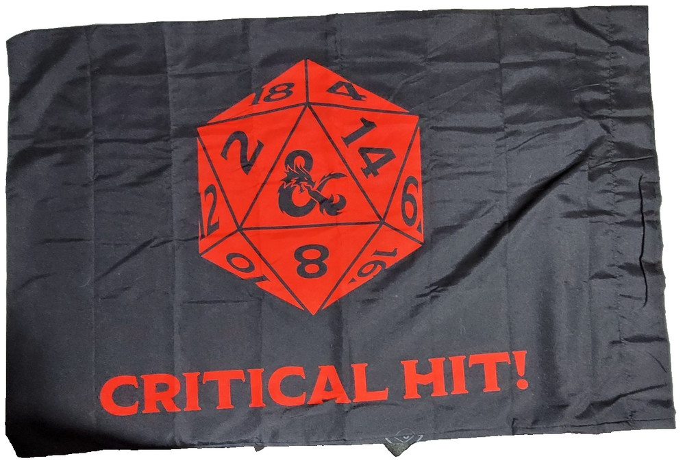 Dungeons & Dragons Pillowcase (lighly used)