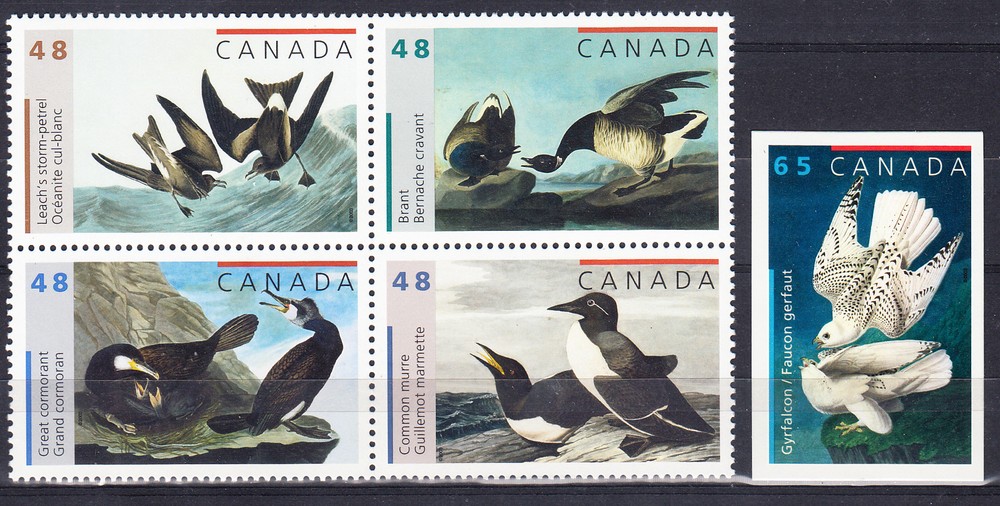 W CANADA 1979-1983 BIRDS