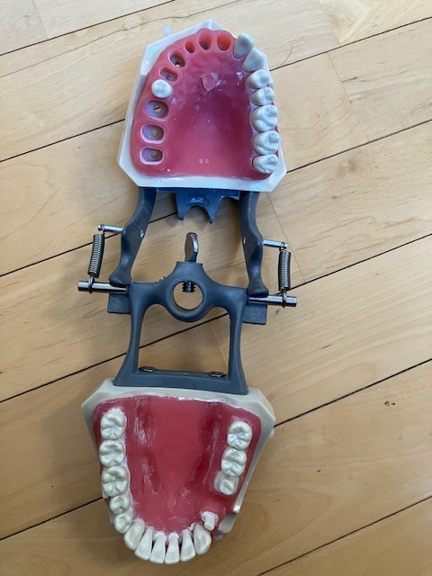 Acadental ModuPRO MP E 120 PC Endo Typodont