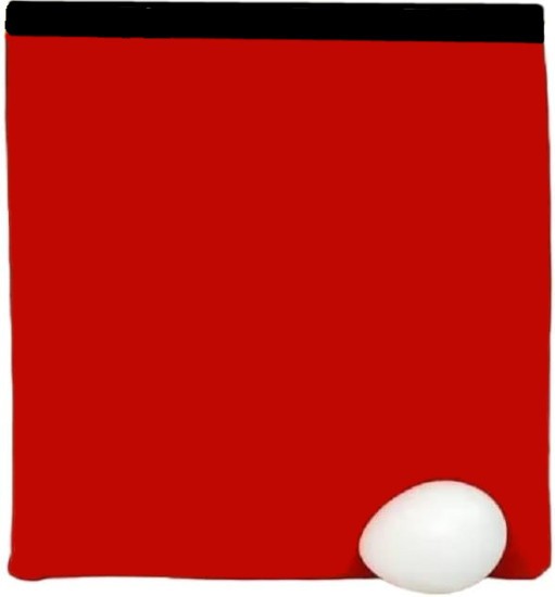 EGG BAG WITH EGG (NOT PLASTIC) AND INSTRUCTIONS - COMEDY MAGIC