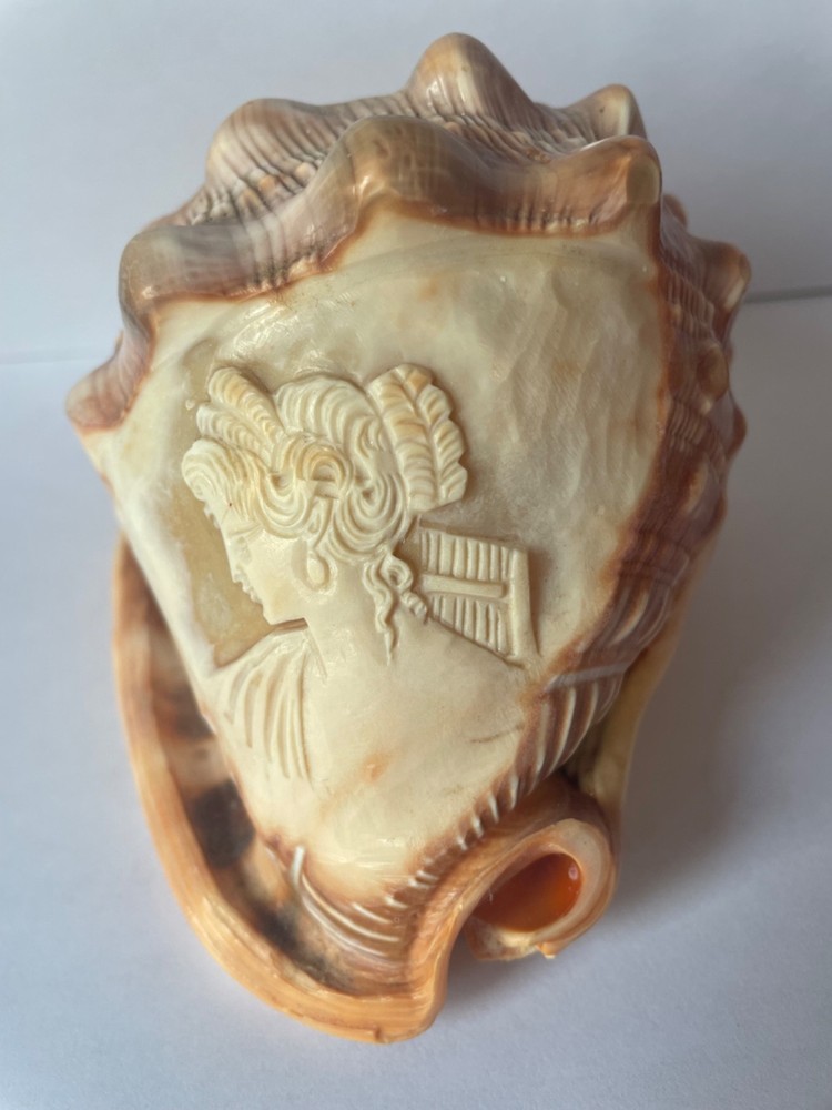 Scrimshaw shell cameo