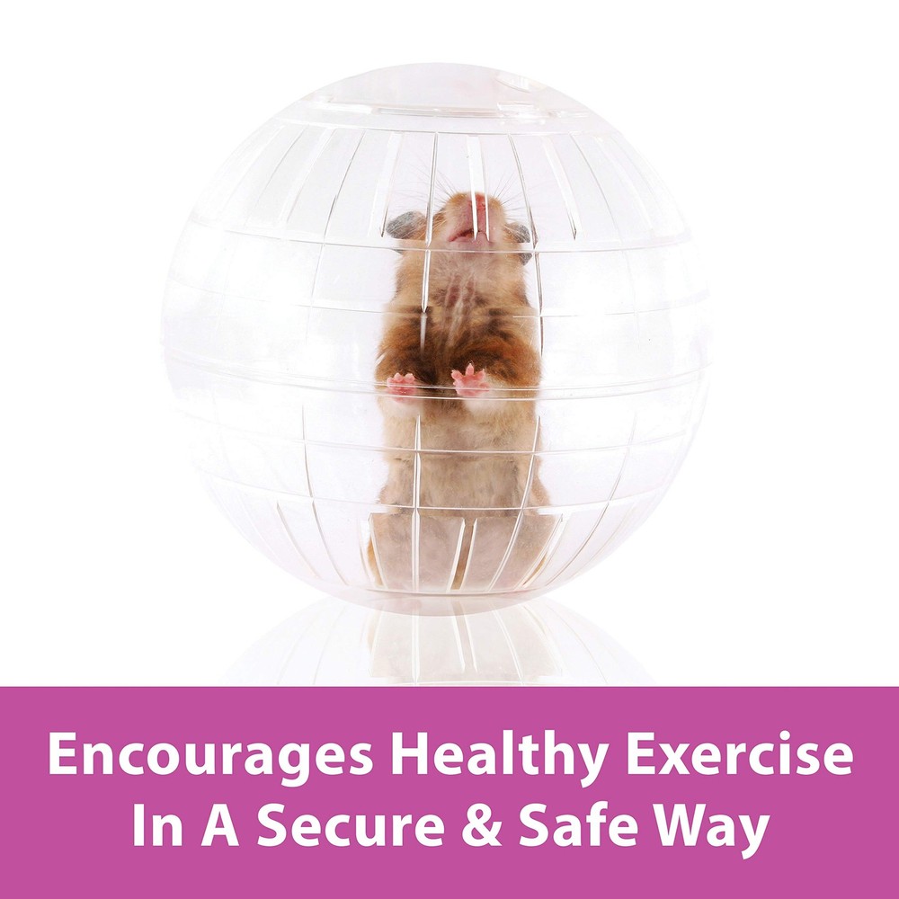 7" Clear Run-About Exercise Ball for Pet Hamsters & Gerbils