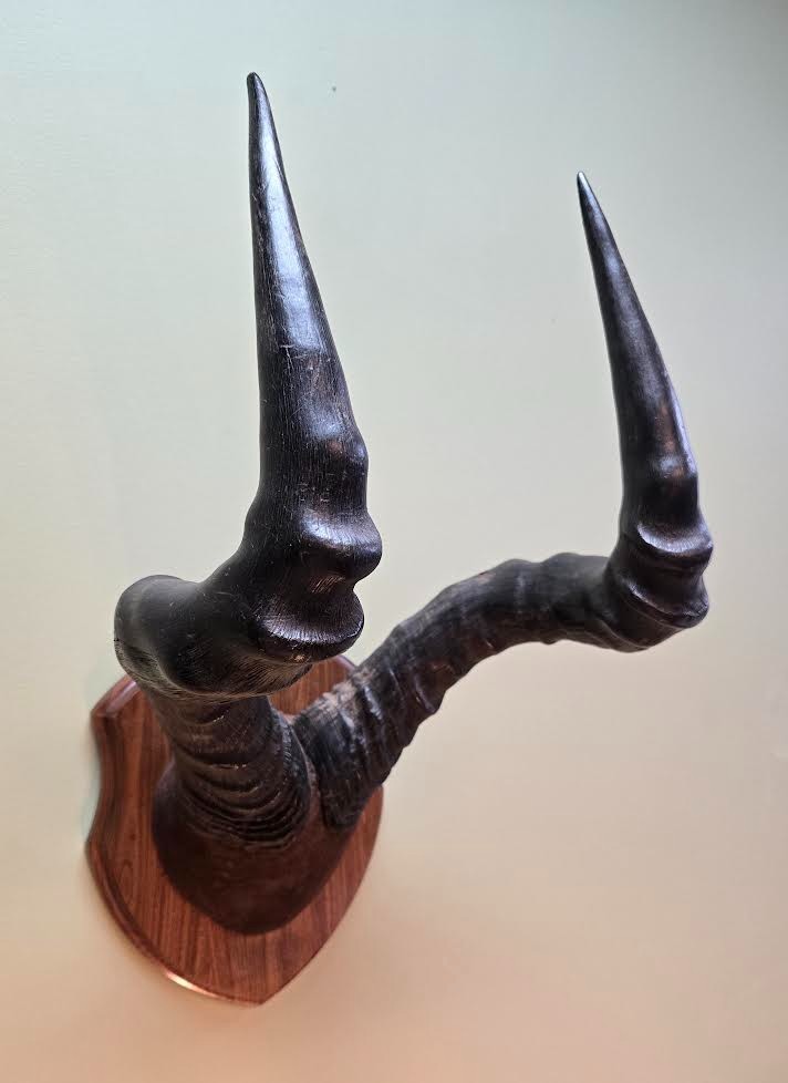 Red Hartebeest Plaque Mounted Horns