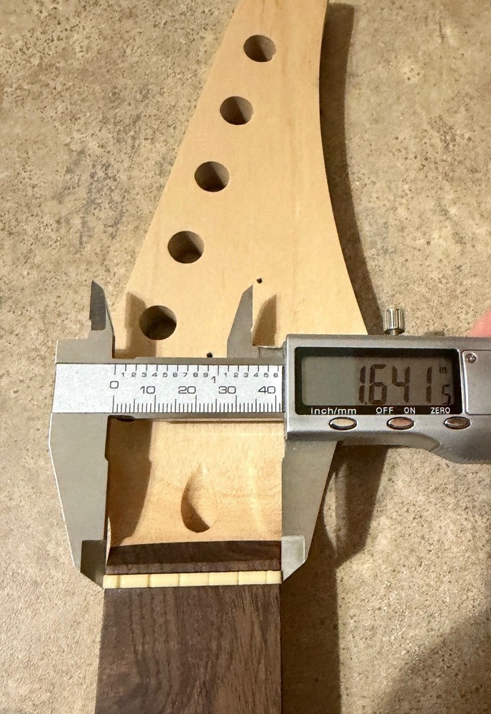 Stratocaster Type Neck- Maple/Rosewood