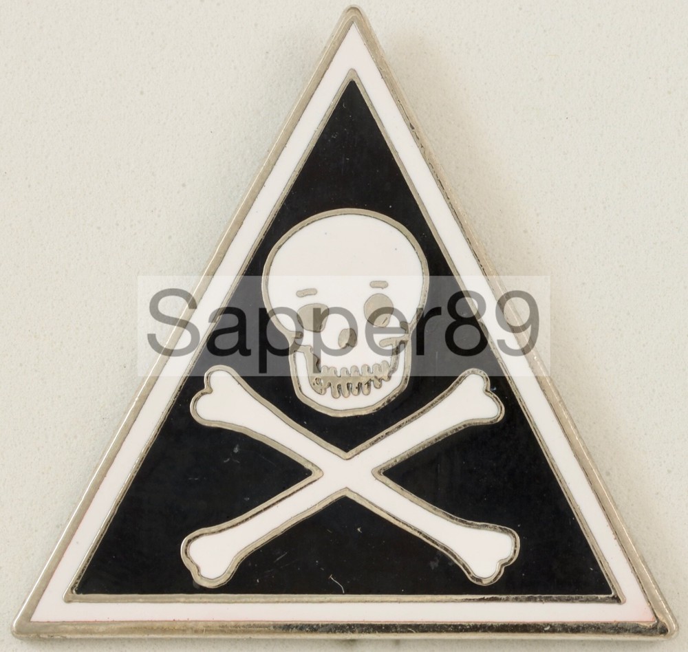 31st Bomb Squadron Crest DI/DUI CB Aresta HM