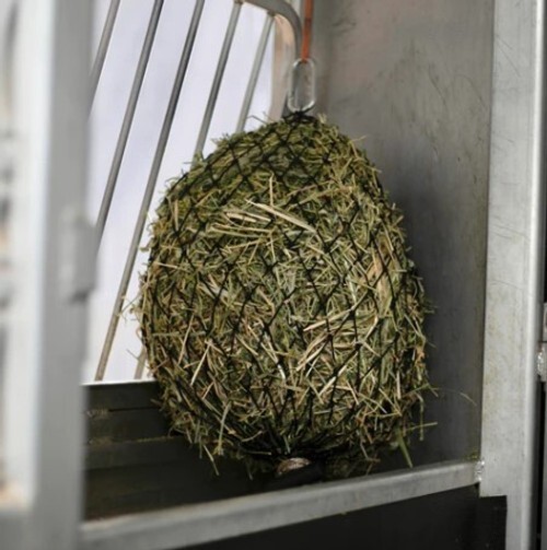 Hay Chix® Quarter Bale Hay Net