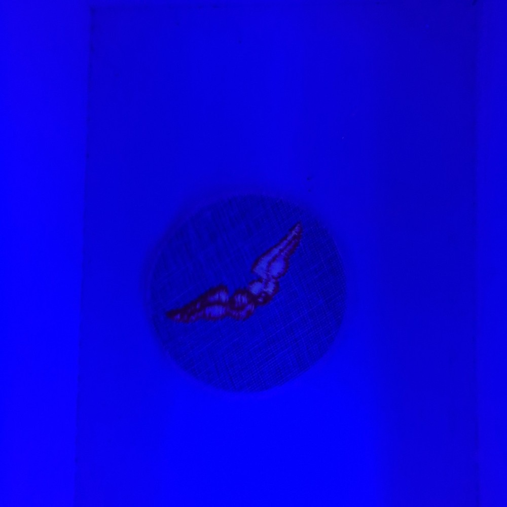 US Army Air Force WW2 Flight Instructor on Felt Patch