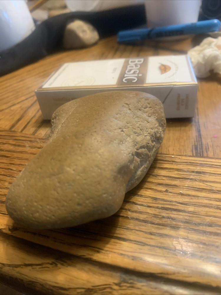 Fossils