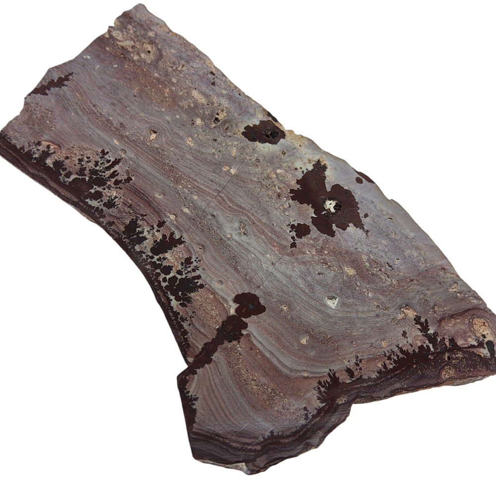 Apache Dendritic Rhyolite, Apache Sage, cabbing rough, #R-7031