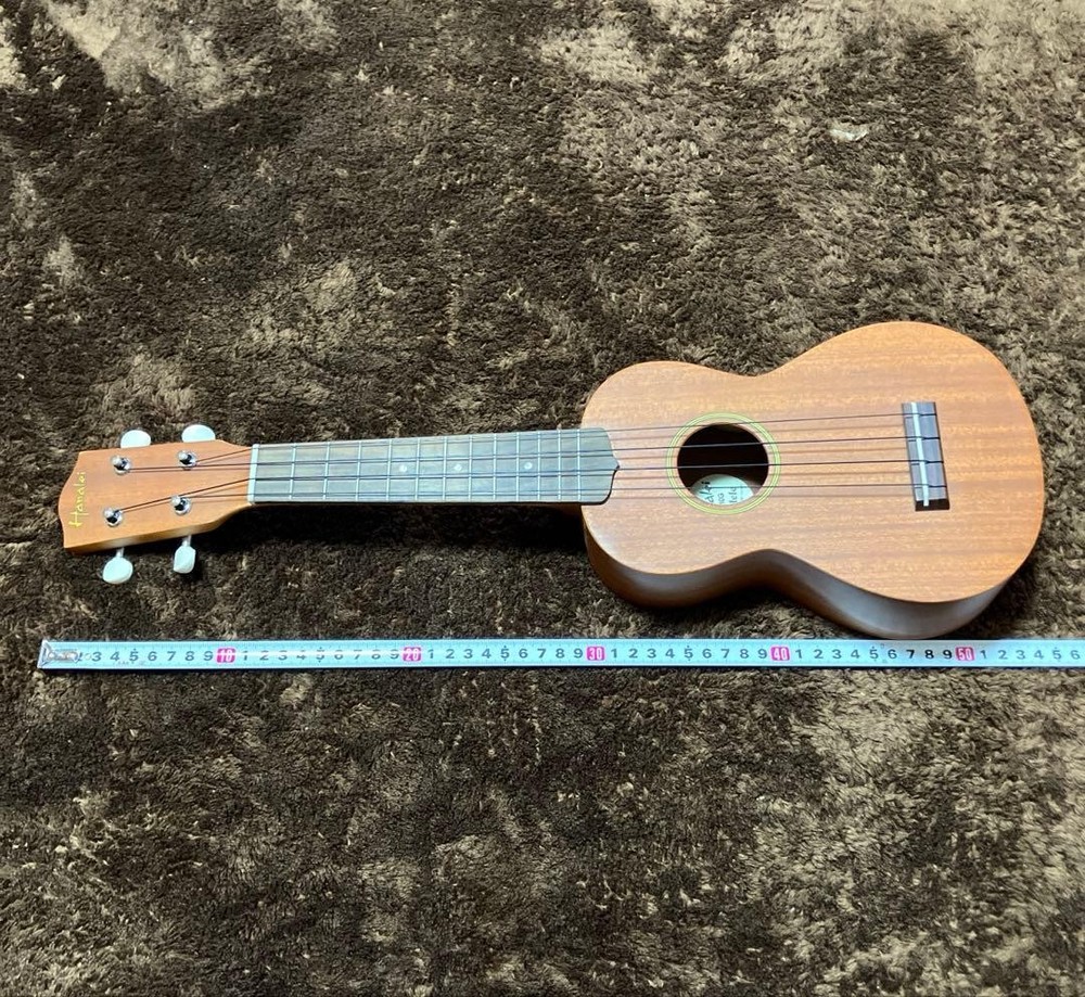 Hanalei Ukulele with soft case