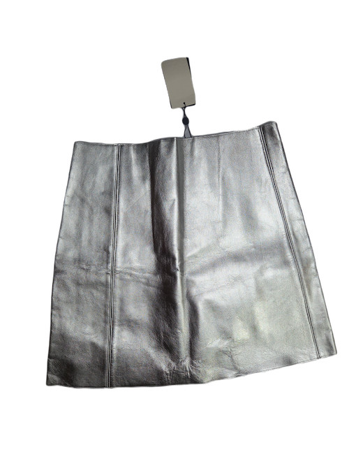 Sliver Mini Skirt