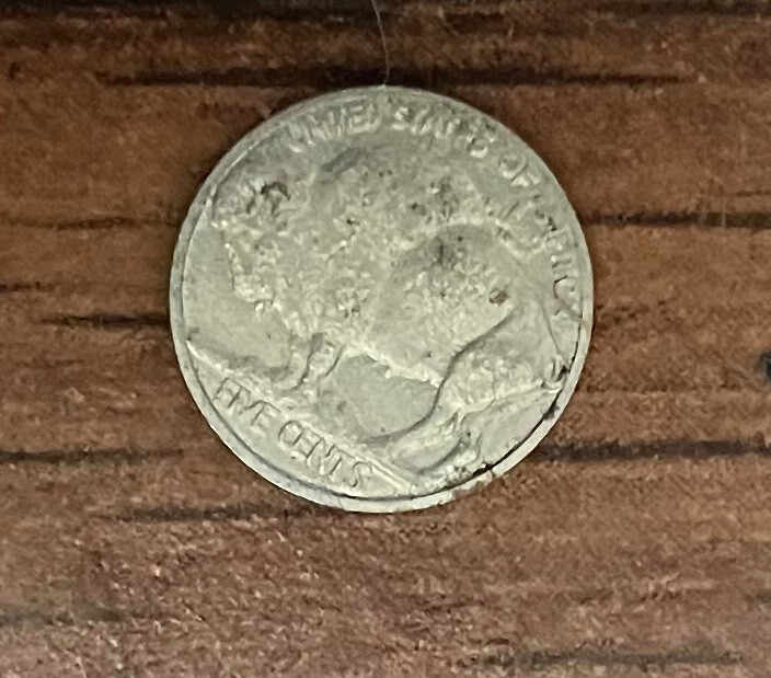 MINI BUFFALO NICKEL 3/8"
