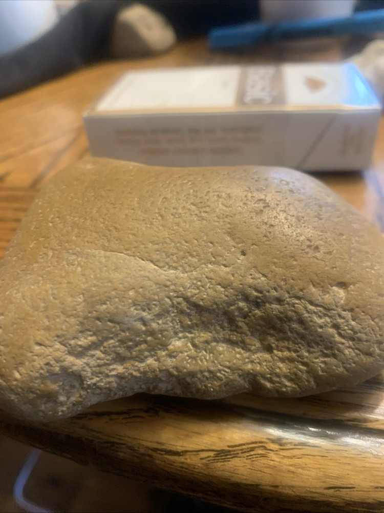 Fossils