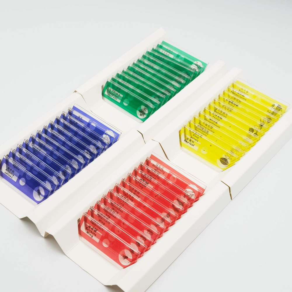 48Pcs Prepared Plastic Microscope Slides Biological Specimen with 4 Boxes for Ch