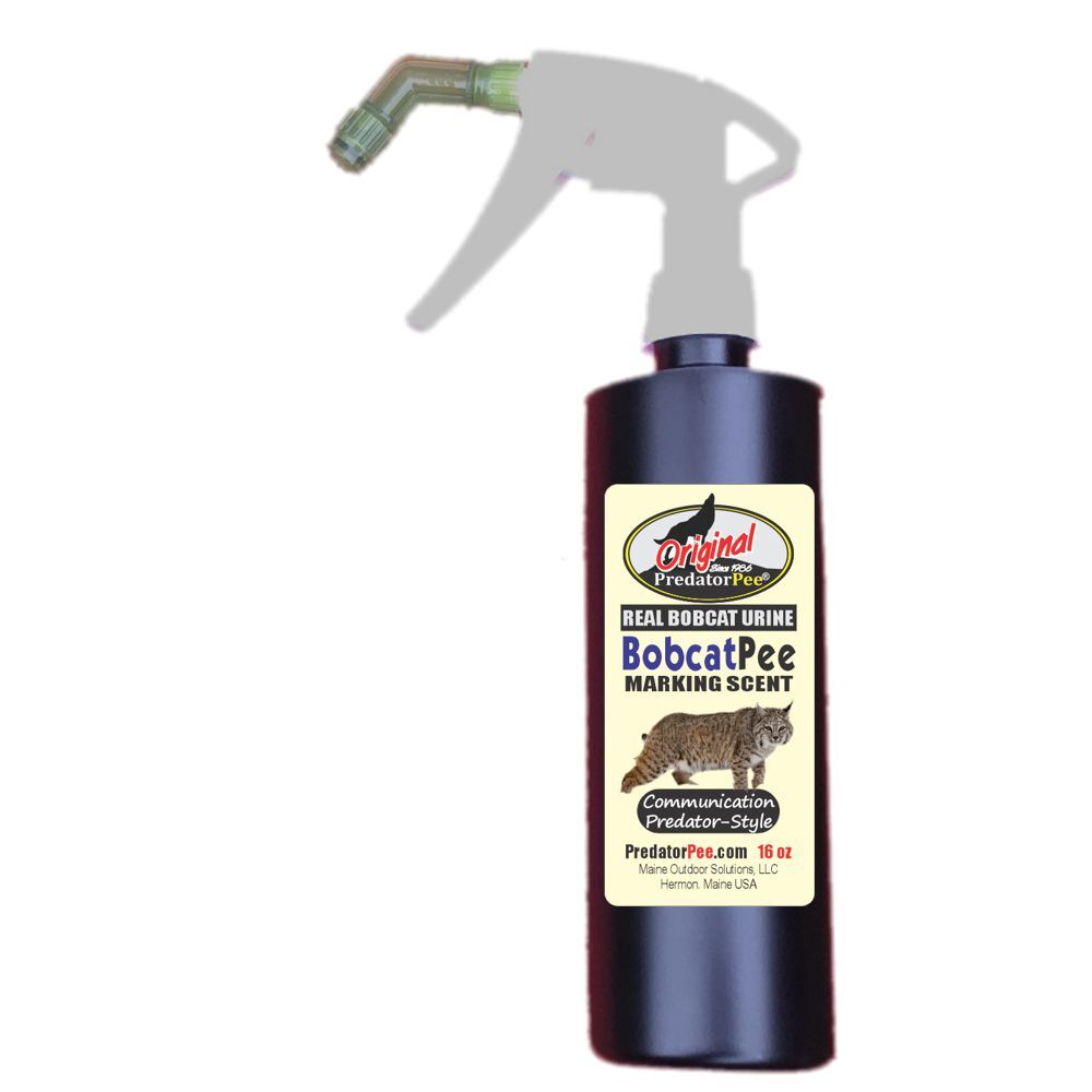 Predator Pee Bobcat Urine Marking Scent - 16oz