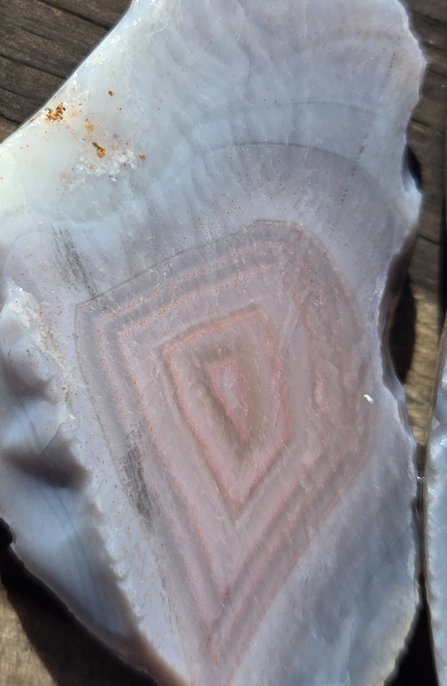 Botswana Agate Cut In Half - Rough, Natural, Not Polished