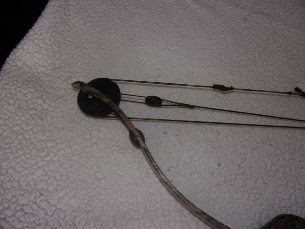 Golden Eagle Falcon Flame Compound Bow