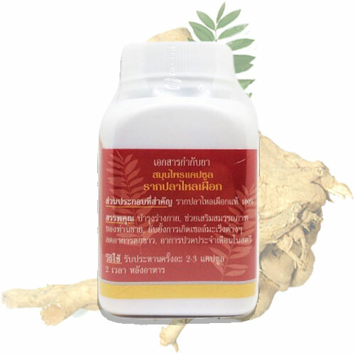 Taro Eel Root Тонгкат Али Eurycoma longifolia Long Jack