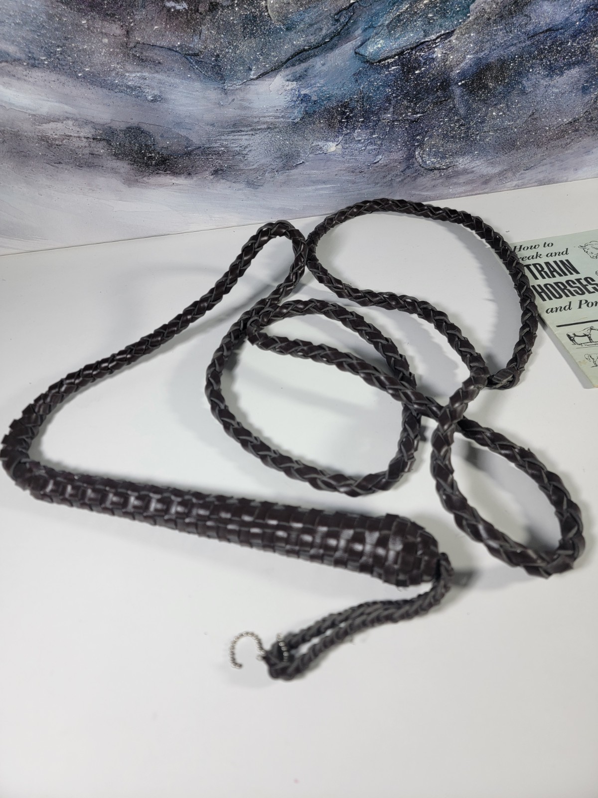 SET: VTG Genuine Brown Leather Bullwhip 100 inches Long Heavy Duty whip + 3 Book